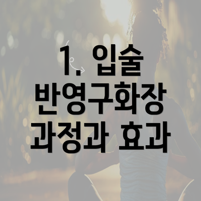1. 입술 반영구화장 과정과 효과