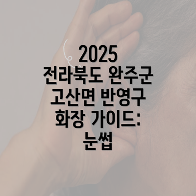 2025 전라북도 완주군 고산면 반영구 화장 가이드: 눈썹