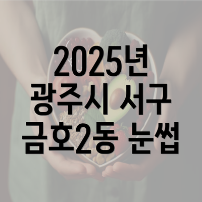 2025년 광주시 서구 금호2동 눈썹