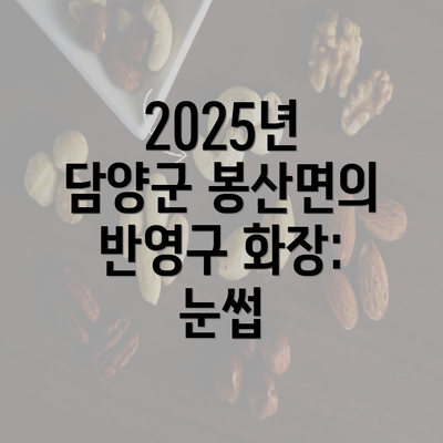 2025년 담양군 봉산면의 반영구 화장: 눈썹