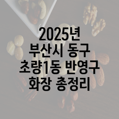 2025년 부산시 동구 초량1동 반영구 화장 총정리