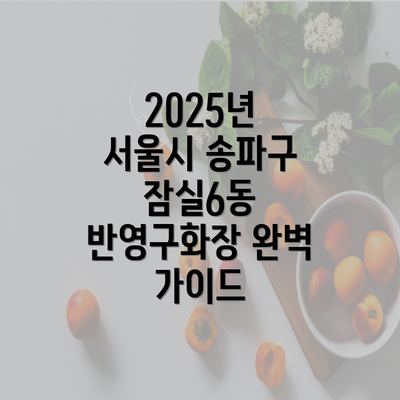 2025년 서울시 송파구 잠실6동 반영구화장 완벽 가이드