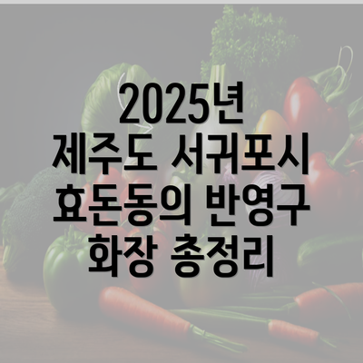2025년 제주도 서귀포시 효돈동의 반영구 화장 총정리