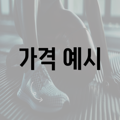 가격 예시