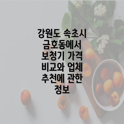 강원도 속초시 금호동에서 보청기 가격 비교와 업체 추천에 관한 정보