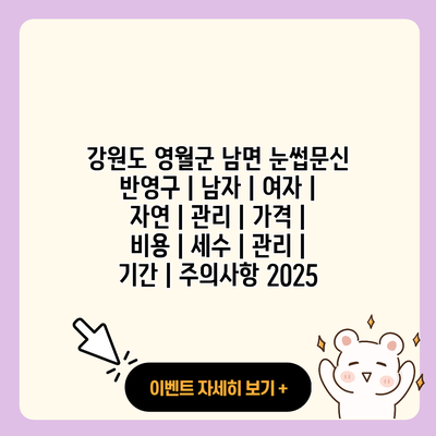 강원도 영월군 남면 눈썹문신 반영구 남자 여자 자연 관리 가격 비용 세수 관리 기간 주의사항 2025 resized