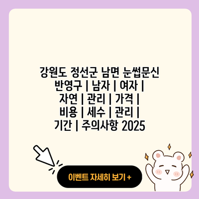 강원도 정선군 남면 눈썹문신 반영구 남자 여자 자연 관리 가격 비용 세수 관리 기간 주의사항 2025 resized