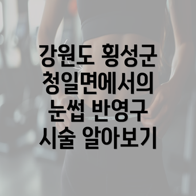 강원도 횡성군 청일면에서의 눈썹 반영구 시술 알아보기
