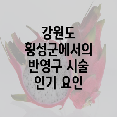 강원도 횡성군에서의 반영구 시술 인기 요인