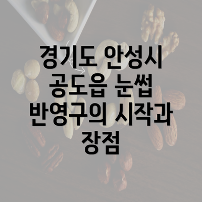 경기도 안성시 공도읍 눈썹 반영구의 시작과 장점