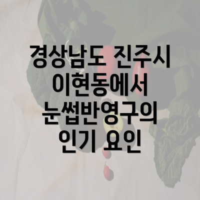 경상남도 진주시 이현동에서 눈썹반영구의 인기 요인