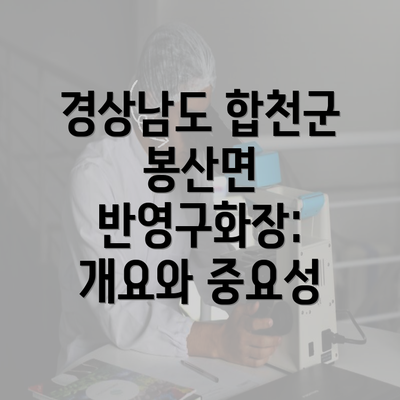경상남도 합천군 봉산면 반영구화장: 개요와 중요성