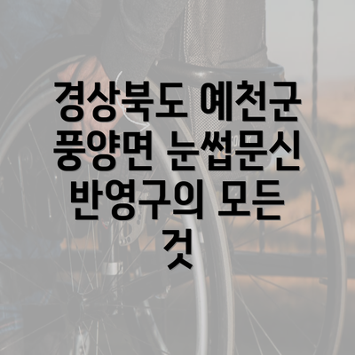 경상북도 예천군 풍양면 눈썹문신 반영구의 모든 것