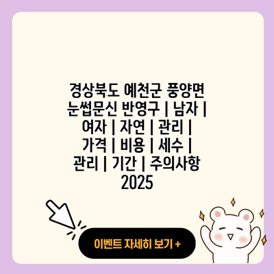 경상북도 예천군 풍양면 눈썹문신 반영구 남자 여자 자연 관리 가격 비용 세수 관리 기간 주의사항 2025 resized