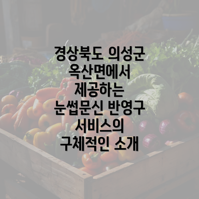 경상북도 의성군 옥산면에서 제공하는 눈썹문신 반영구 서비스의 구체적인 소개