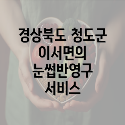 경상북도 청도군 이서면의 눈썹반영구 서비스
