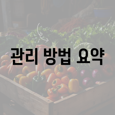 관리 방법 요약
