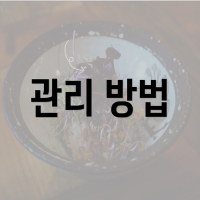 전라남도 영암군 미암면 눈썹반영구 | 입술반영구 | 아이라인반영구 | 눈썹문신 | 문신 | 눈썹타투 | 남자눈썹문신가격 | 반영구화장 가격 | 비용 | 관리 | 기간 | 주의사항 2025 총정리 4 관리 방법