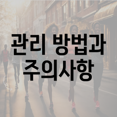 관리 방법과 주의사항
