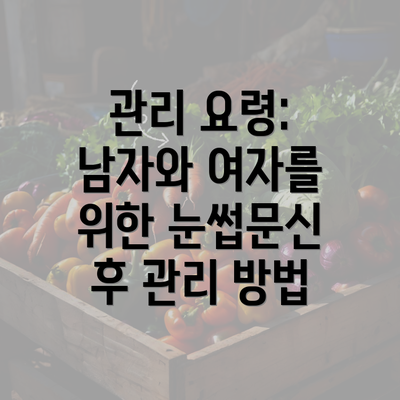 관리 요령: 남자와 여자를 위한 눈썹문신 후 관리 방법