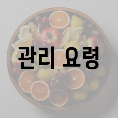 전라남도 여수시 국동 눈썹문신 반영구 | 남자 | 여자 | 자연 | 관리 | 가격 | 비용 | 세수 | 관리 | 기간 | 주의사항 2025 3 관리 요령