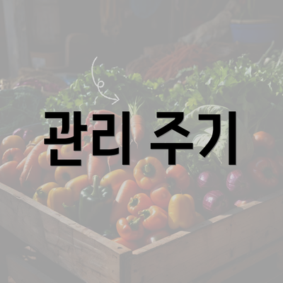 강원도 춘천시 동산면 눈썹문신 반영구 | 남자 | 여자 | 자연 | 관리 | 가격 | 비용 | 세수 | 관리 | 기간 | 주의사항 2025 4 관리 주기