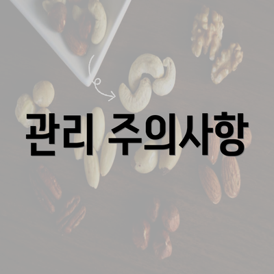 서울시 동작구 사당제5동 눈썹문신 반영구 | 남자 | 여자 | 자연 | 관리 | 가격 | 비용 | 세수 | 관리 | 기간 | 주의사항 2025 4 관리 주의사항