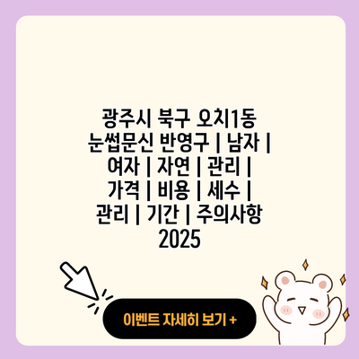 광주시 북구 오치1동 눈썹문신 반영구 남자 여자 자연 관리 가격 비용 세수 관리 기간 주의사항 2025 resized
