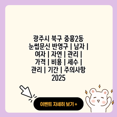 광주시 북구 중흥2동 눈썹문신 반영구 남자 여자 자연 관리 가격 비용 세수 관리 기간 주의사항 2025 resized