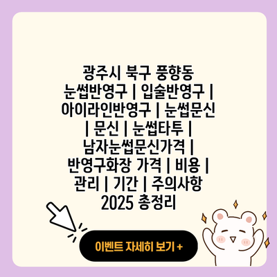 광주시 북구 풍향동 눈썹반영구 입술반영구 아이라인반영구 눈썹문신 문신 눈썹타투 남자눈썹문신가격 반영구화장 가격 비용 관리 기간 주의사항 2025 총정리 resized