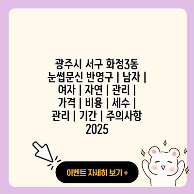 광주시 서구 화정3동 눈썹문신 반영구 남자 여자 자연 관리 가격 비용 세수 관리 기간 주의사항 2025 resized