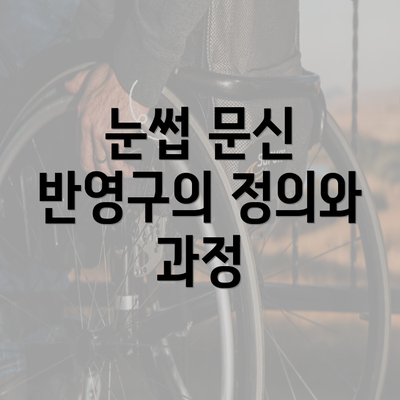 눈썹 문신 반영구의 정의와 과정