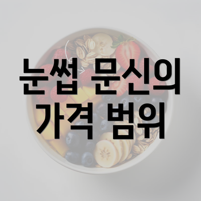눈썹 문신의 가격 범위