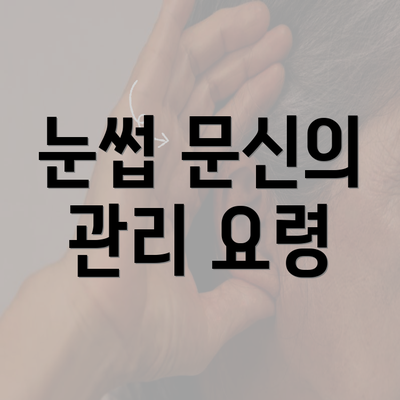 눈썹 문신의 관리 요령