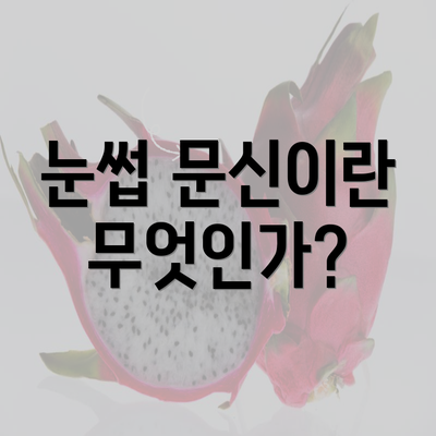 눈썹 문신이란 무엇인가?