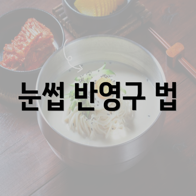 눈썹 반영구 법