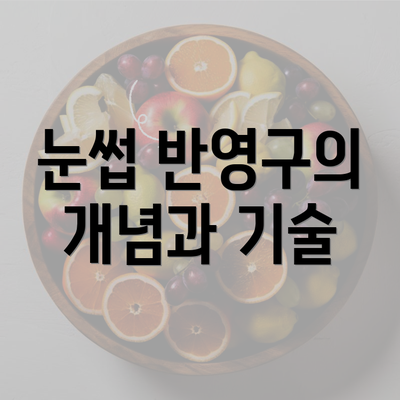 눈썹 반영구의 개념과 기술