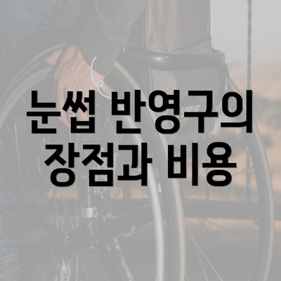 눈썹 반영구의 장점과 비용