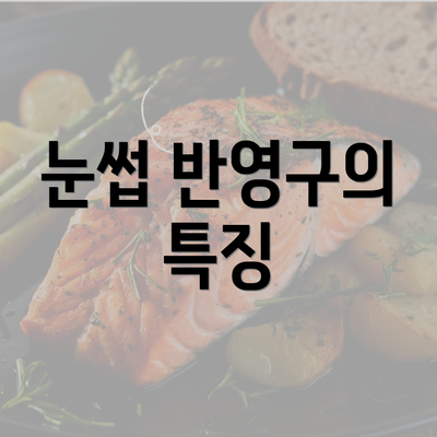 눈썹 반영구의 특징