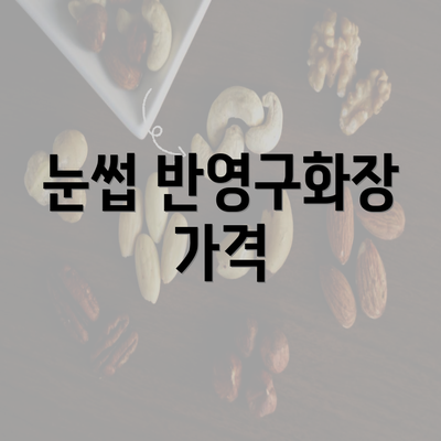 눈썹 반영구화장 가격