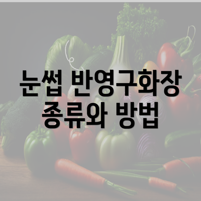 눈썹 반영구화장 종류와 방법