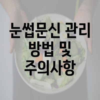 눈썹문신 관리 방법 및 주의사항