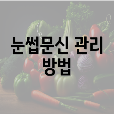 충청남도 홍성군 홍북읍 눈썹문신 반영구 | 남자 | 여자 | 자연 | 관리 | 가격 | 비용 | 세수 | 관리 | 기간 | 주의사항 2025 4 눈썹문신 관리 방법