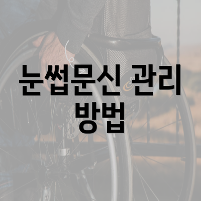 광주시 서구 금호2동 눈썹문신 반영구 | 남자 | 여자 | 자연 | 관리 | 가격 | 비용 | 세수 | 관리 | 기간 | 주의사항 2025 3 눈썹문신 관리 방법