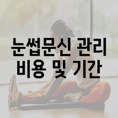 눈썹문신 관리 비용 및 기간