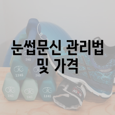 눈썹문신 관리법 및 가격