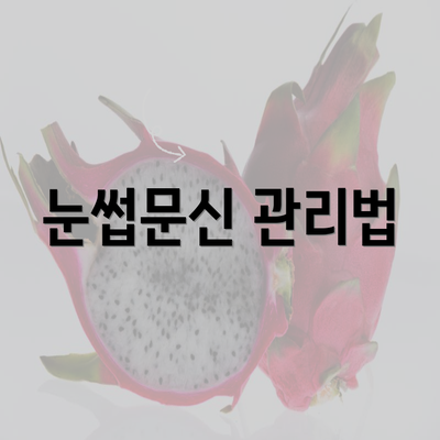 눈썹문신 관리법