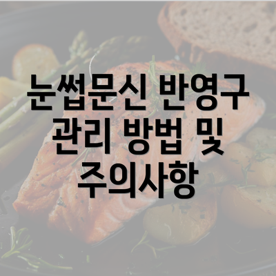 눈썹문신 반영구 관리 방법 및 주의사항