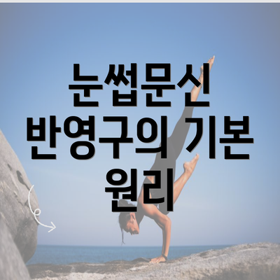 눈썹문신 반영구의 기본 원리