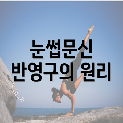 눈썹문신 반영구의 원리